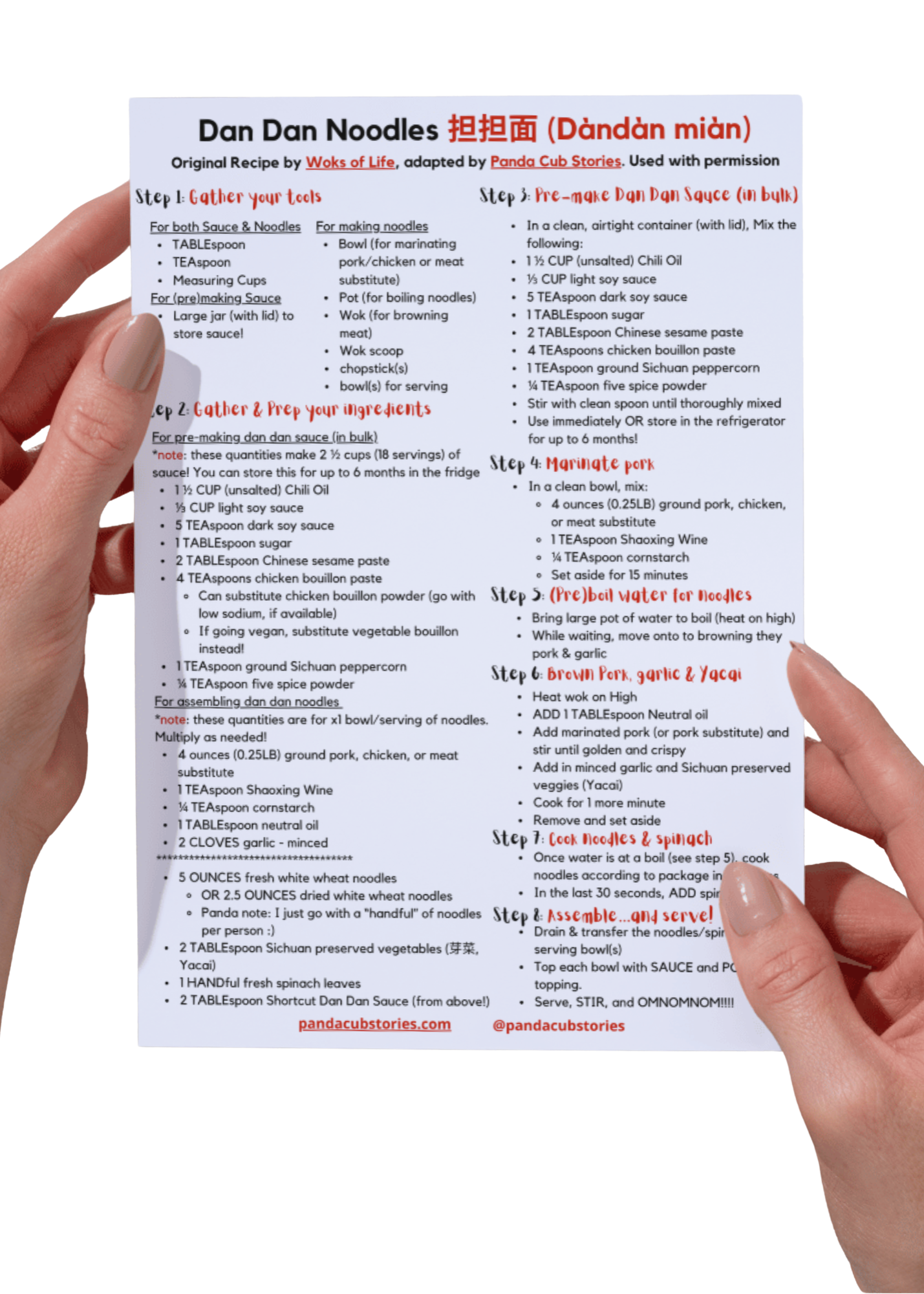 Dan Dan Noodles Recipe Card